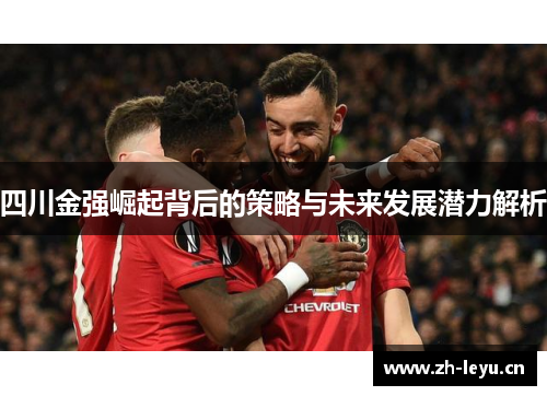 四川金强崛起背后的策略与未来发展潜力解析