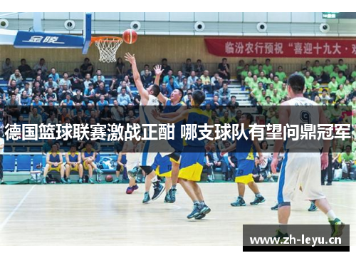 德国篮球联赛激战正酣 哪支球队有望问鼎冠军