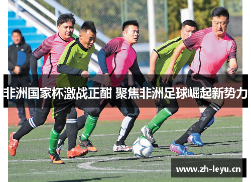 非洲国家杯激战正酣 聚焦非洲足球崛起新势力