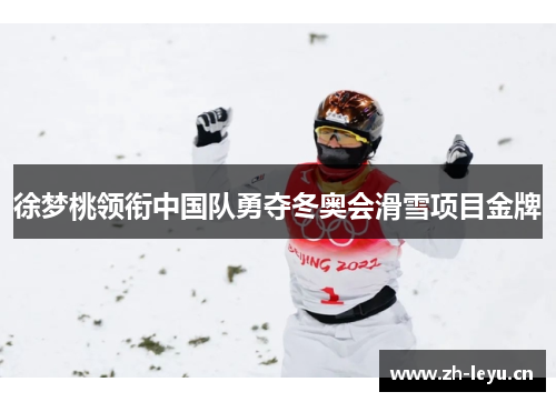 徐梦桃领衔中国队勇夺冬奥会滑雪项目金牌
